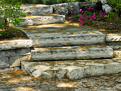 Steps Steps